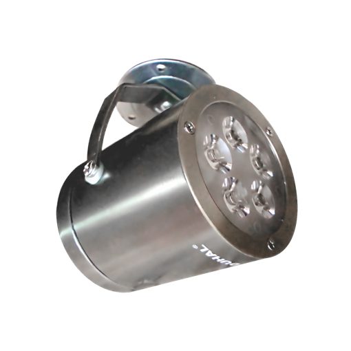 dib801-2031.jpg